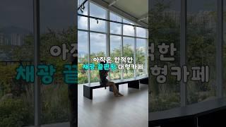 나만 알고 싶은 양주의 숨겨진 카페 #문버드