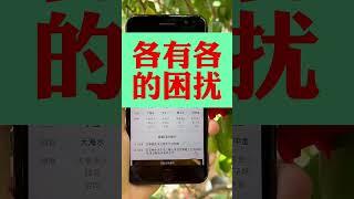 各有各的困扰#国学智慧 #传统文化 #易学智慧 #知识分享