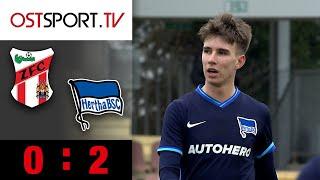 Herthabubis zeigen Meuselwitz die Grenzen auf: ZFC Meuselwitz - Hertha II | RL Nordost | OSTSPORT.TV