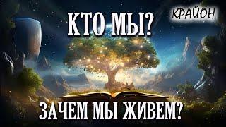 Крайон. В чем СМЫСЛ ЖИЗНИ? КТО ты и ЗАЧЕМ живешь на земле? ВСПОМНИ!