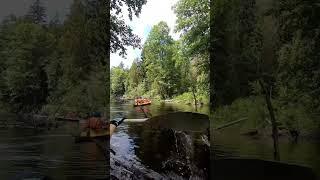 Река волшебная! Сплав на байдарках по реке Свина, Витебская область, Беларусь