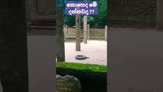 රජගල ඓතිහාසික පුදබිම | අම්පාර රජගලතැන්න #