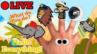  Hello Everything!  Live Stream | Finger Family Nursery Rhymes & Animation