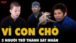 TOP 3 TRỌNG ÁN chỉ vì … con chó PHẢI BỎ MẠNG, vụ án CHỈ CÓ Ở VIỆT NAM | PKT