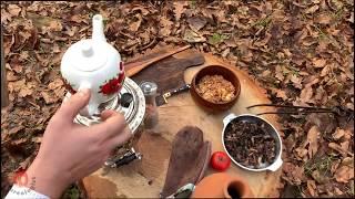 Preparing Organic Samovar Tea in Nature