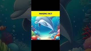 Fact Alert! about the Dolphins #bengalifacts