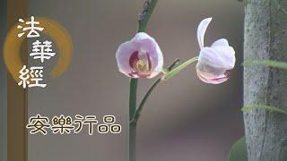 【靜思妙蓮華】法華經安樂行品 - 髻中明珠 不即與之 - 20230620 第1440集