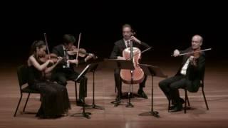 Borodin: Quartet No. 2 in D major for Strings, I. Allegro moderato