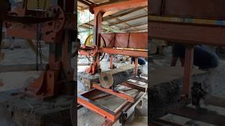 Wood Sawing trolley machine ️️ #heavymachinery #wood #sawmill