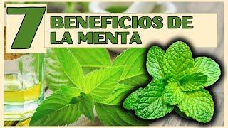  PARA que SIRVE LA MENTA | 7 BENEFICIOS y PROPIEDADES de LA MENTA para TU SALUD