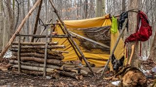 Overnight Bushcraft Camp with my Dog - Long Fire, Wool Blanket, Fire Reflector