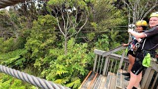 Waiheke Island EcoZip Adventures Tour Jan 2, 2020.