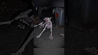 Skinwalker Disguised As Animals ️ PRT-99 #viral #ytshorts