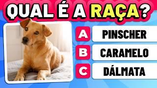  ADIVINHE A RAÇA DO CACHORRO (com vídeos) 