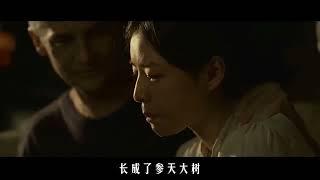 一口气看完科幻大作《三体》全集解说