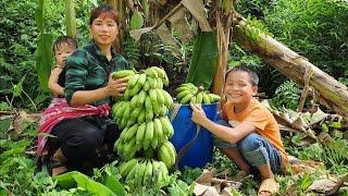 Full Video:Harvest fruit and bring it to the market to sell _ Clean up the farm _Garden_Lý Thị Xuân