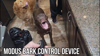 MODUS Bark Control Device