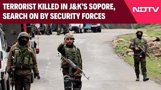 J&K News Today | Terrorist Killed In J&K's Sopore, Search On By Security Forces