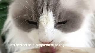 Cat Treats Review | Premium Fish Oil Chicken Shreds Hydrating Soup | YiHe Pet Products