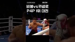 비볼 vs 카넬로 P4P 1위 결정전 #복싱 #boxing