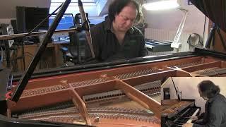 Today I tune my piano (Fabrice Zanella at FZ studios)