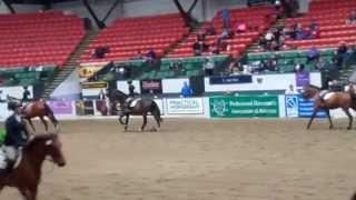 Laura Malone & Sibrando - Individual Intermediate Flat - IHSA Nationals - April 31, 2015