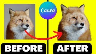 How to Cut Out an Image in Canva