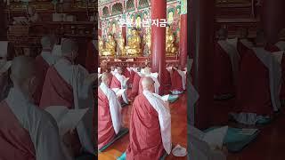 운문사는 지금, 하안거 포살 #운문사  - 영상 최용수 객원기자