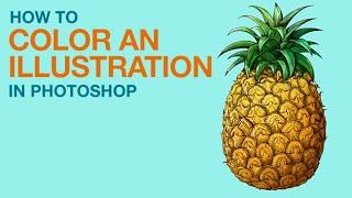 How to Color an Illustration in Photoshop