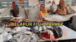 Navi Mumbai Biggest Fish Market| Diwale Gaon Belapur Fish Market | Mumbai Fish Market