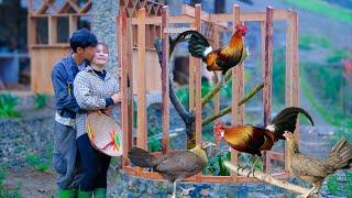 SANG VY Builds AMAZING Barn For Raising Wild Chickens, Nurturing Melon Seeds, Gardening