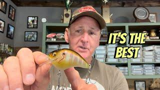 THE Best Summertime Crankbait Color