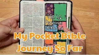 Bible Journaling Flipthrough of My Pocket Bible | Channel Update