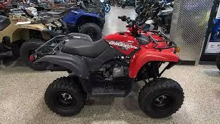 New 2025 Yamaha Grizzly 110 ATV For Sale In Lakeville, MN