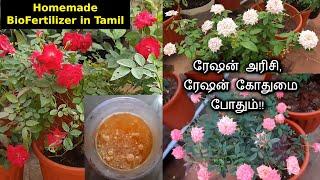 #மாடித்தோட்டம் Homemade Bio Fertilizer in Tamil |அமோக விளைச்சல் தரும் உயிர் உரம்| Terrace garden