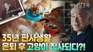 법 위에 고양이 있다?! 35년동안 판사생활 접고 고양이 10마리 집사생활 시작한 배경은?!  ㅣ 아버지의 정원 ㅣ KBS 다큐 인사이트 210506 방송