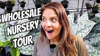 So Many Rare Plants!! Wholesale Plant Nursery Tour!