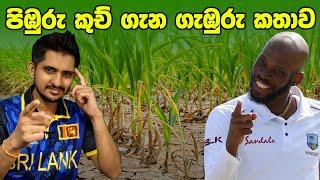 පෙර දැක්ම | පිඹුරු කුච් සහ Dairy Farm ගැන තිත්ත ඇත්ත| Preview - SL vs WI, 3rd T20I 2024