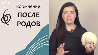 Что ждёт после родов. Выпуск 54. Грудное вскармливание