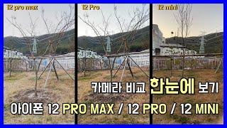 [4k]아이폰 12 프로맥스 / 12 프로 / 12 미니 카메라 비교 테스트 결과 - iphone 12 pro max / pro / mini camera test!