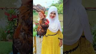 Muslim style desi chicken recipe #trending #chicken #recipe 