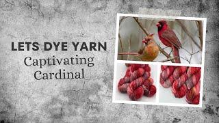 Battling Chaos & Staying Motivated - Lets Get Back To Dyeing Yarn - Captivating Cardinal