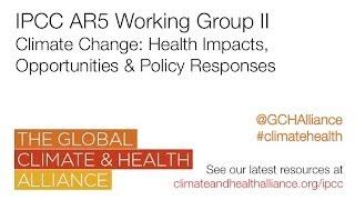 Webinar on 'Climate change: health impacts, opportunities and policy responses'