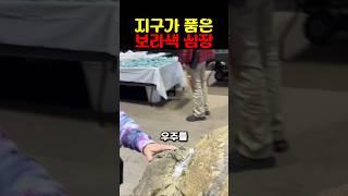 지구가 품은 보라색 심장