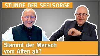 Stammt der Mensch vom Affen ab? - 02.05.2024 - STUNDE DER SEELSORGE