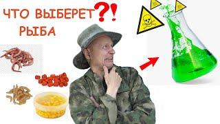 ЕСТЕСТВЕННЫЕ НАЖИВКИ или ХИМИЯ?!! САМАЯ ЛЮБИМАЯ РЫБАКАМИ РЫБА ПРЕДПОЧИТАЕТ ЭТО!!