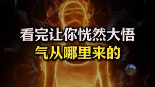 人体的气到底从哪里来的？黄帝内经“真气从之”新解！被科学雪藏的食物秘密！看完这个视频让你恍然大悟！