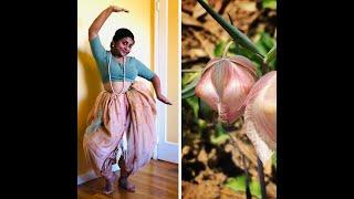 Human Nature: California Rare Plants with Barnali Ghosh and Amy Patten