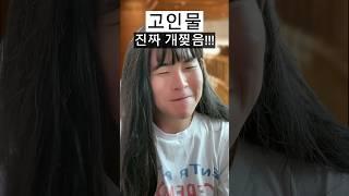 뮤지컬 혼자 보러 갔을 때 초보 고인물 반응 차이