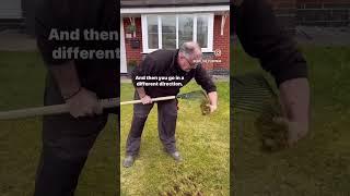 How to scarify your lawn to remove moss